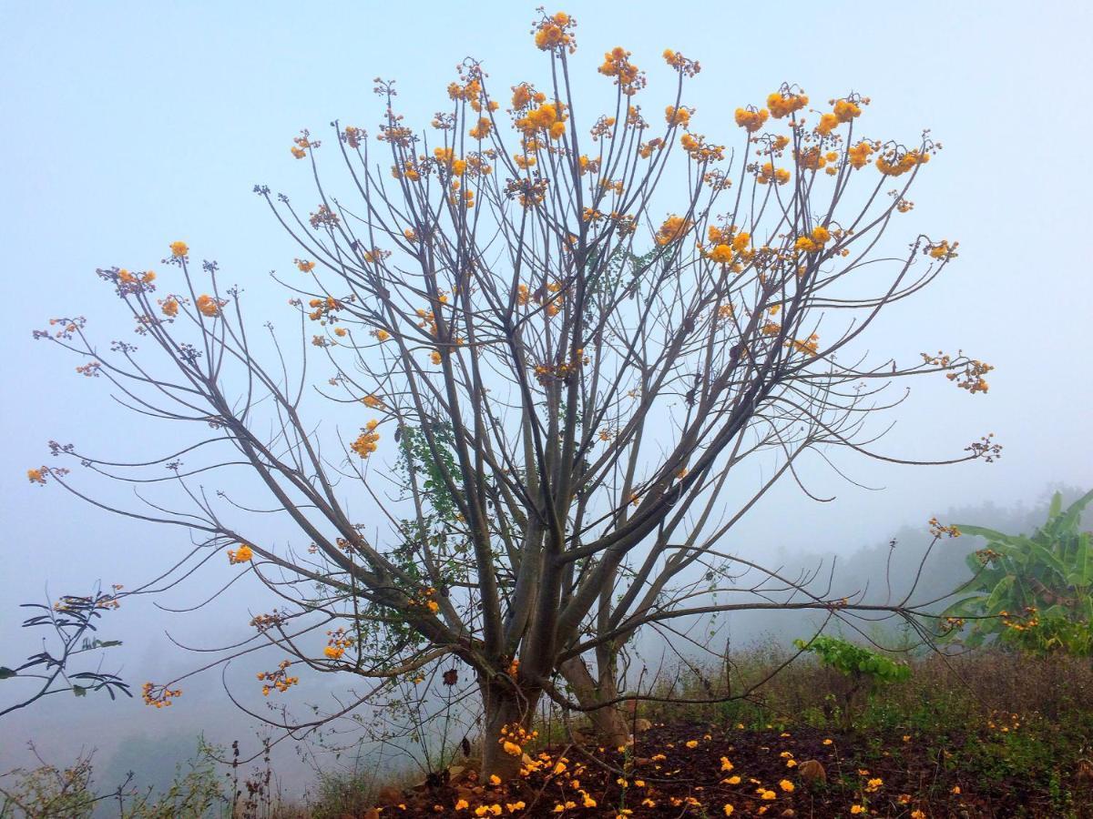Hotel มนต์เมืองแจ่ม Mae Chaem Exteriér fotografie